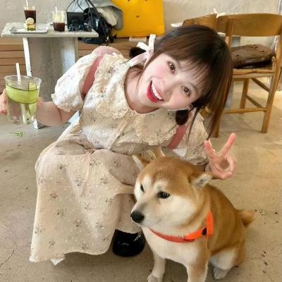 鹰狼传奇